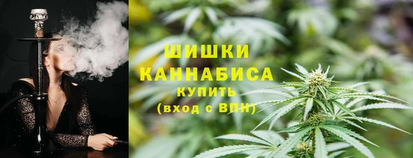 шишки Михайлов