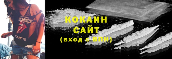 шишки Михайлов