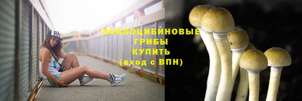 Альфа ПВП Михайловка