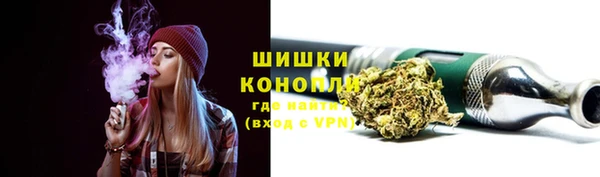 шишки Михайлов