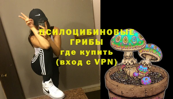 шишки Михайлов