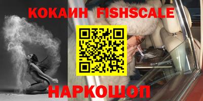прущие крисы Камышлов