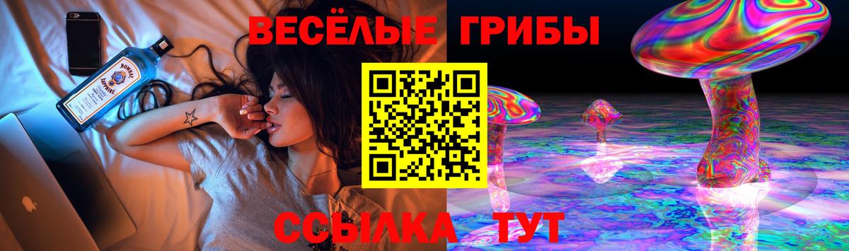 Миллерово  Галлюциногенные грибы Psilocybine cubensis  Вход с VPN  Псилоцибиновые грибы прущие грибы 