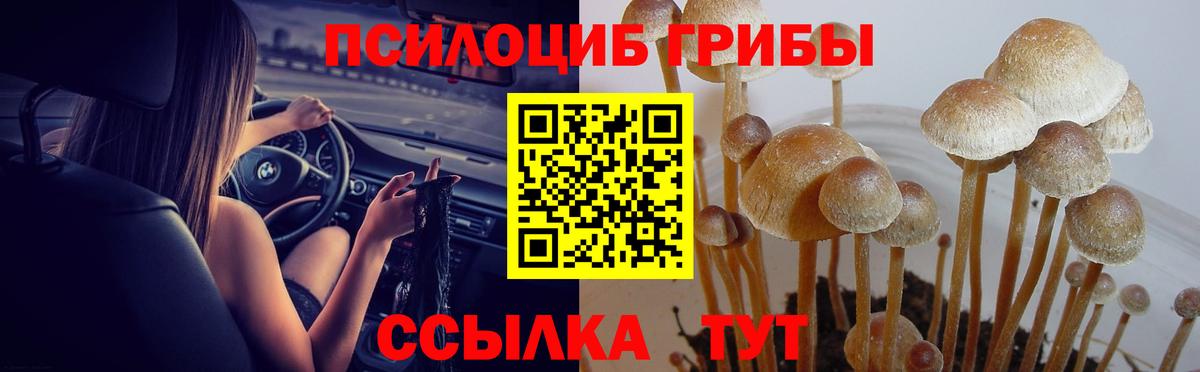 Псилоцибиновые грибы мицелий Миллерово